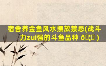 宿舍养金鱼风水摆放禁忌(战斗力zui
强的斗鱼品种 🦋 )